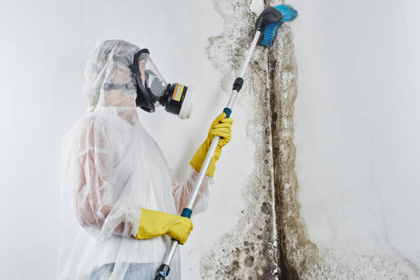 Water Damage Restoration in Woodbourne, PA
