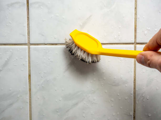 Best Residential Mold Removal  in Woodbourne, PA