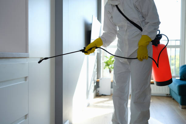 Best Professional Mold Removal  in Woodbourne, PA