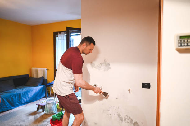 Mold Removal Process in Woodbourne, PA